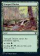 Tranquil Thicket [Commander 2021] on Sale